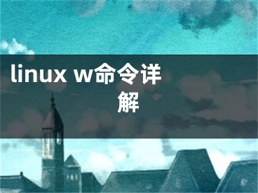 linux w命令详解