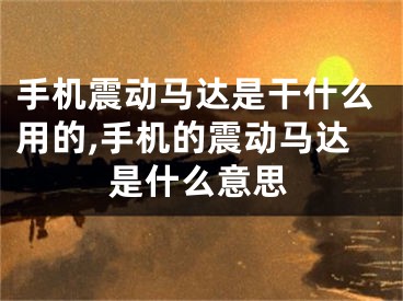 手机震动马达是干什么用的,手机的震动马达是什么意思