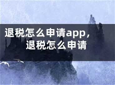 退税怎么申请app，退税怎么申请