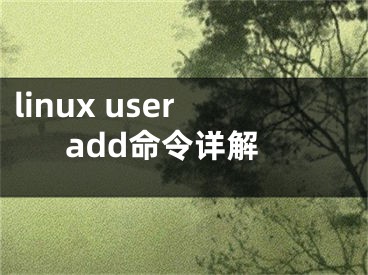 linux useradd命令详解 