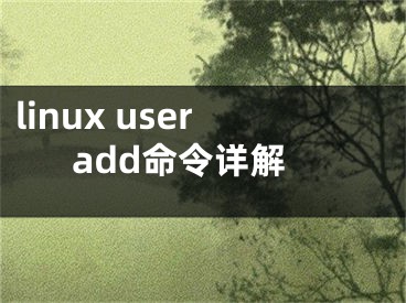 linux useradd命令详解