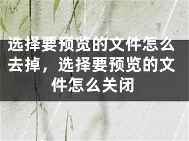 选择要预览的文件怎么去掉，选择要预览的文件怎么关闭