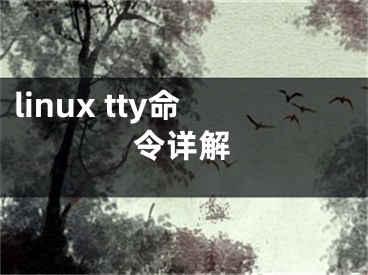 linux tty命令详解