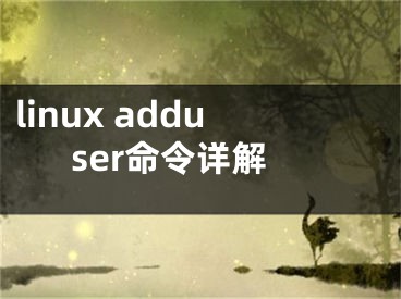 linux adduser命令详解