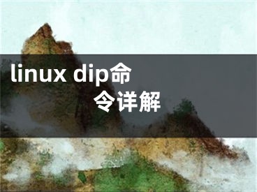 linux dip命令详解