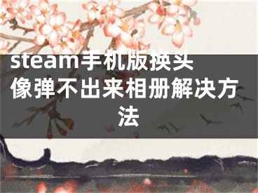 steam手机版换头像弹不出来相册解决方法