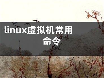 linux虚拟机常用命令