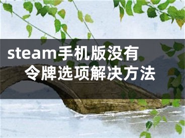 steam手机版没有令牌选项解决方法