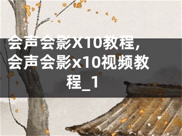 会声会影X10教程,会声会影x10视频教程_1