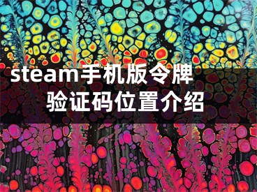 steam手机版令牌验证码位置介绍