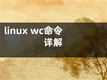 linux wc命令详解
