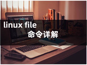 linux file命令详解