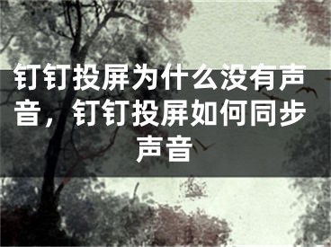 钉钉投屏为什么没有声音，钉钉投屏如何同步声音