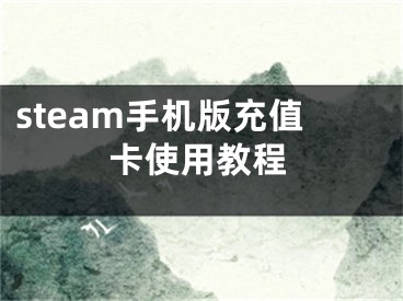 steam手机版充值卡使用教程