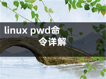 linux pwd命令详解
