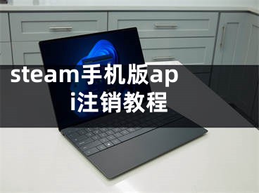 steam手机版api注销教程