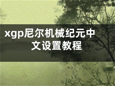 xgp尼尔机械纪元中文设置教程