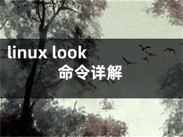 linux look命令详解