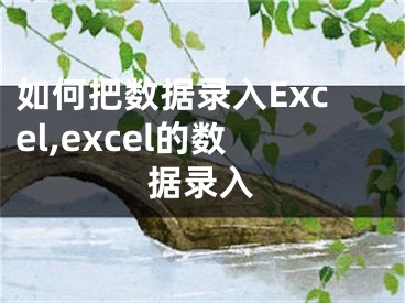 如何把数据录入Excel,excel的数据录入