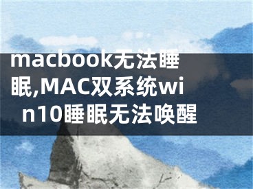 macbook无法睡眠,MAC双系统win10睡眠无法唤醒