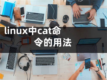 linux中cat命令的用法