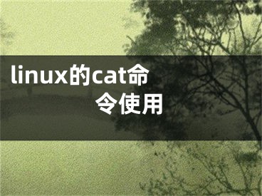 linux的cat命令使用