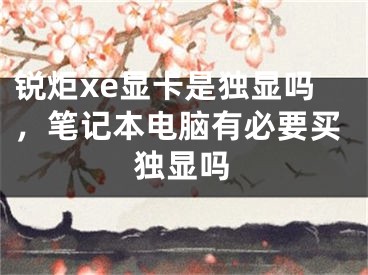 锐炬xe显卡是独显吗，笔记本电脑有必要买独显吗