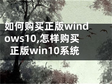 如何购买正版windows10,怎样购买正版win10系统