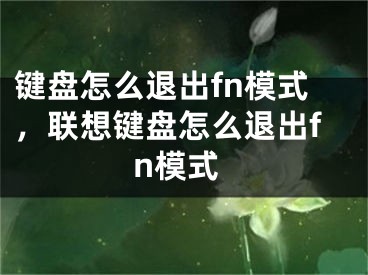 键盘怎么退出fn模式，联想键盘怎么退出fn模式