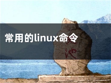 常用的linux命令