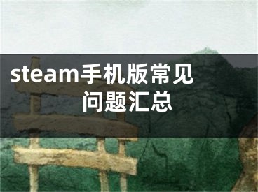 steam手机版常见问题汇总