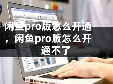 闲鱼pro版怎么开通，闲鱼pro版怎么开通不了