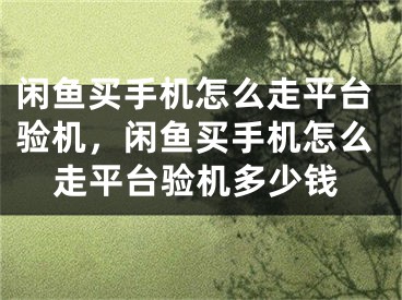 闲鱼买手机怎么走平台验机，闲鱼买手机怎么走平台验机多少钱