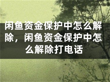 闲鱼资金保护中怎么解除，闲鱼资金保护中怎么解除打电话