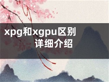 xpg和xgpu区别详细介绍