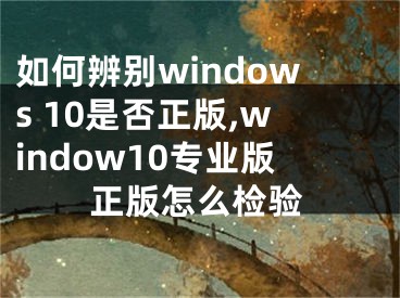 如何辨别windows 10是否正版,window10专业版正版怎么检验