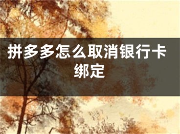 拼多多怎么取消银行卡绑定