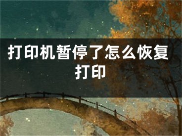 打印机暂停了怎么恢复打印