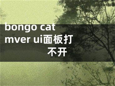 bongo cat mver ui面板打不开