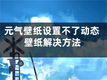 元气壁纸设置不了动态壁纸解决方法