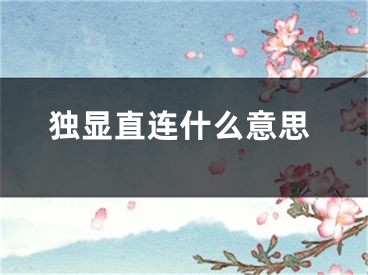 独显直连什么意思