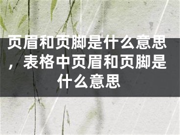 页眉和页脚是什么意思，表格中页眉和页脚是什么意思 