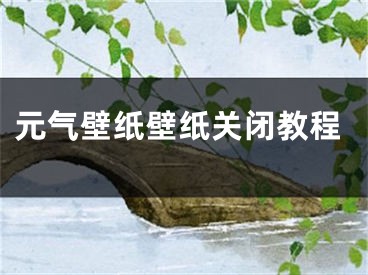 元气壁纸壁纸关闭教程