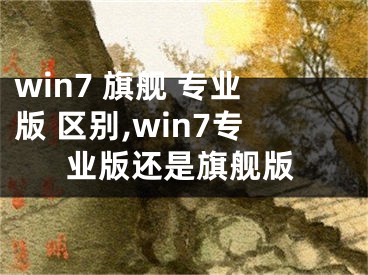 win7 旗舰 专业版 区别,win7专业版还是旗舰版