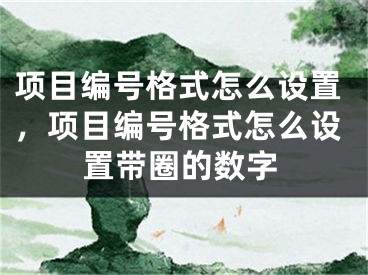 项目编号格式怎么设置，项目编号格式怎么设置带圈的数字