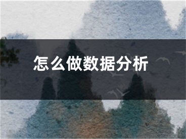 怎么做数据分析