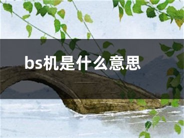 bs机是什么意思