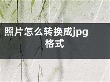 照片怎么转换成jpg格式