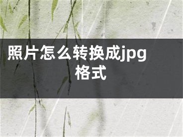 照片怎么转换成jpg格式