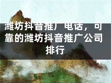 潍坊抖音推广电话，可靠的潍坊抖音推广公司排行